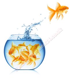 Moving Business or Office Tips Moving Business or Office Tips